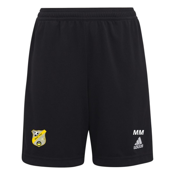 adidas Traning Shorts "Entrada 22" - RP